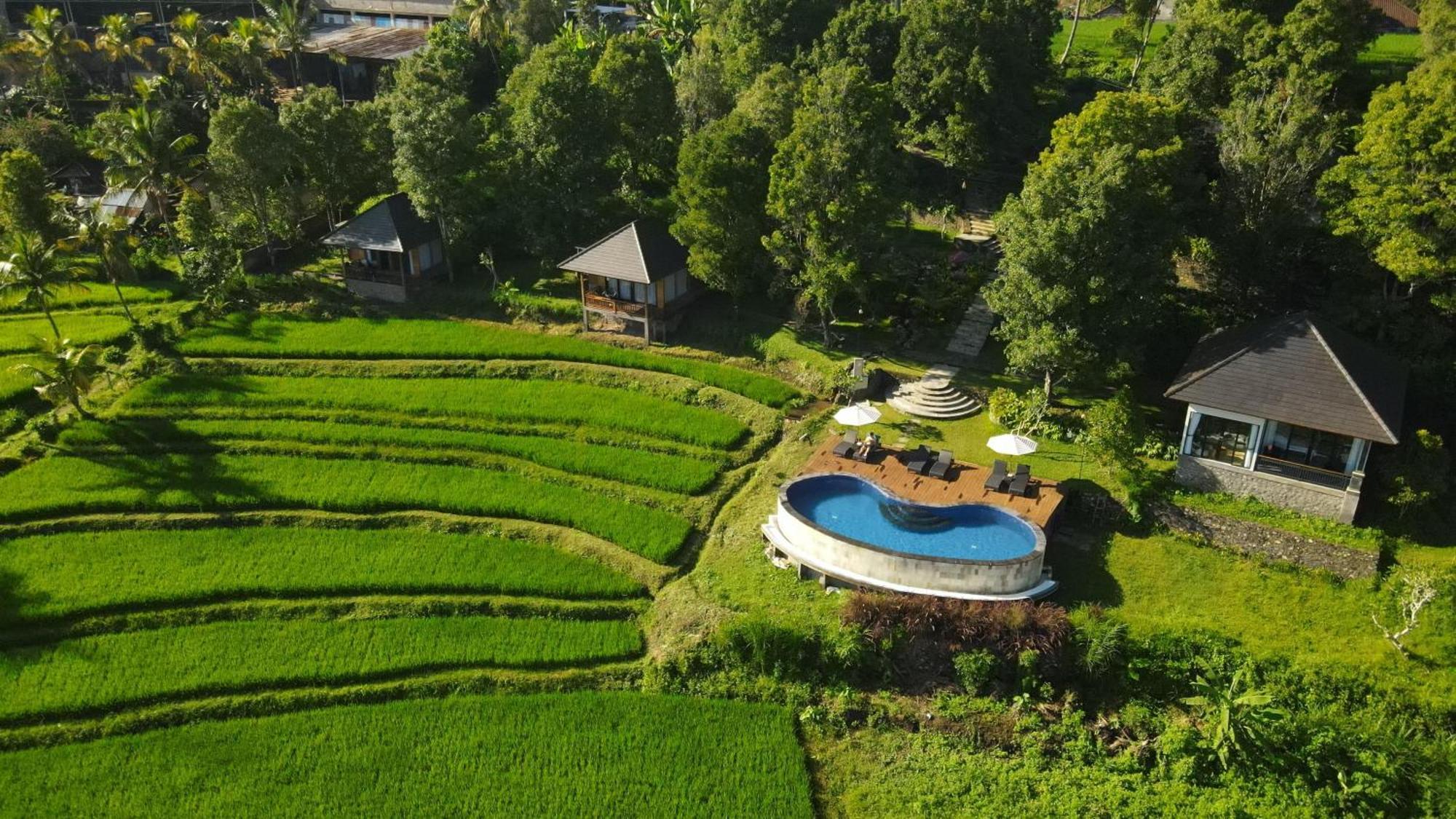Mayura Bali Villa Munduk Eksteriør bilde