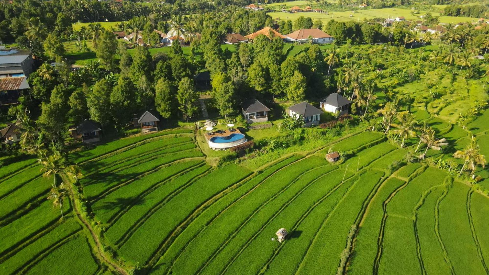 Mayura Bali Villa Munduk Eksteriør bilde
