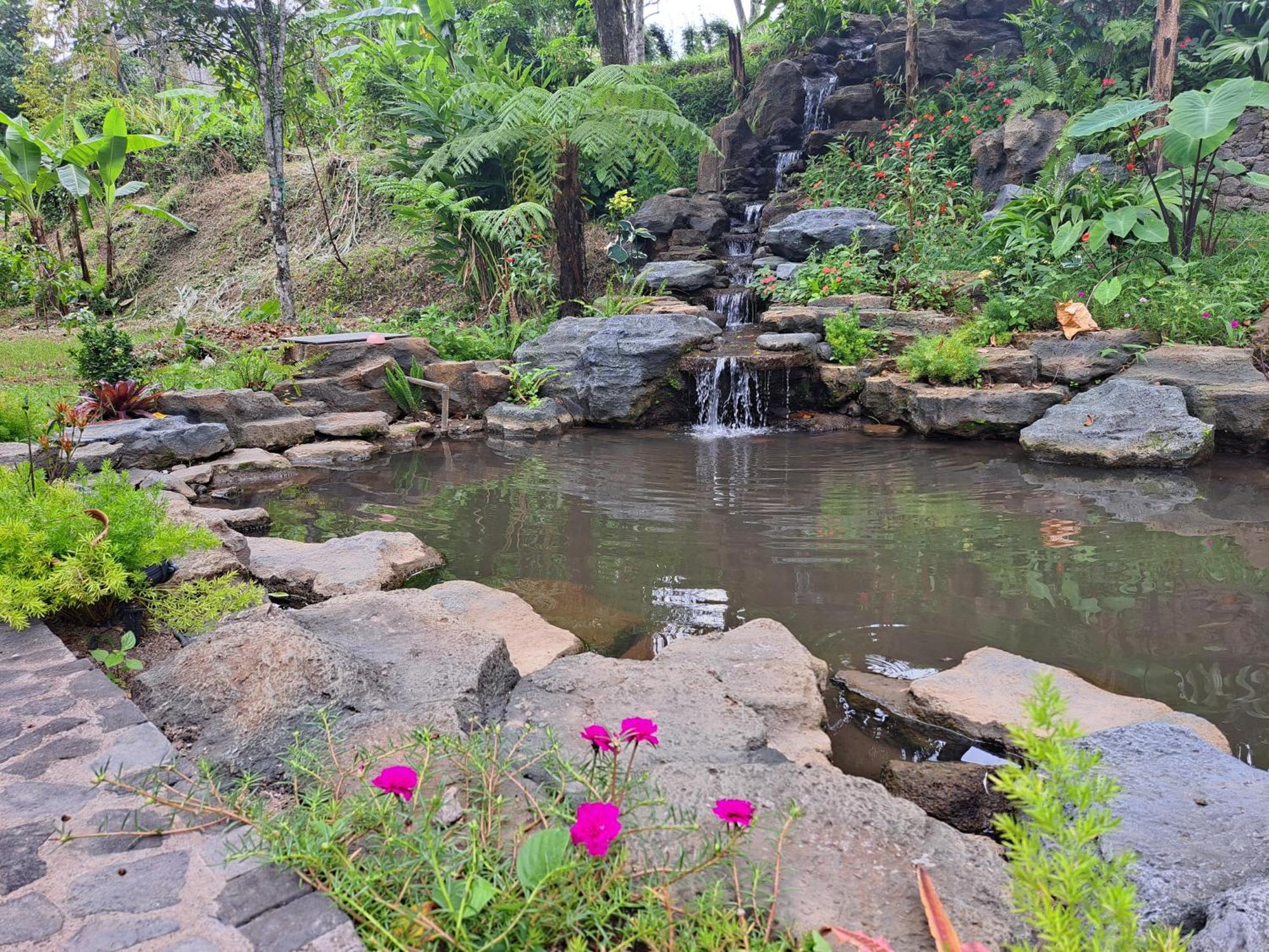 Mayura Bali Villa Munduk Eksteriør bilde