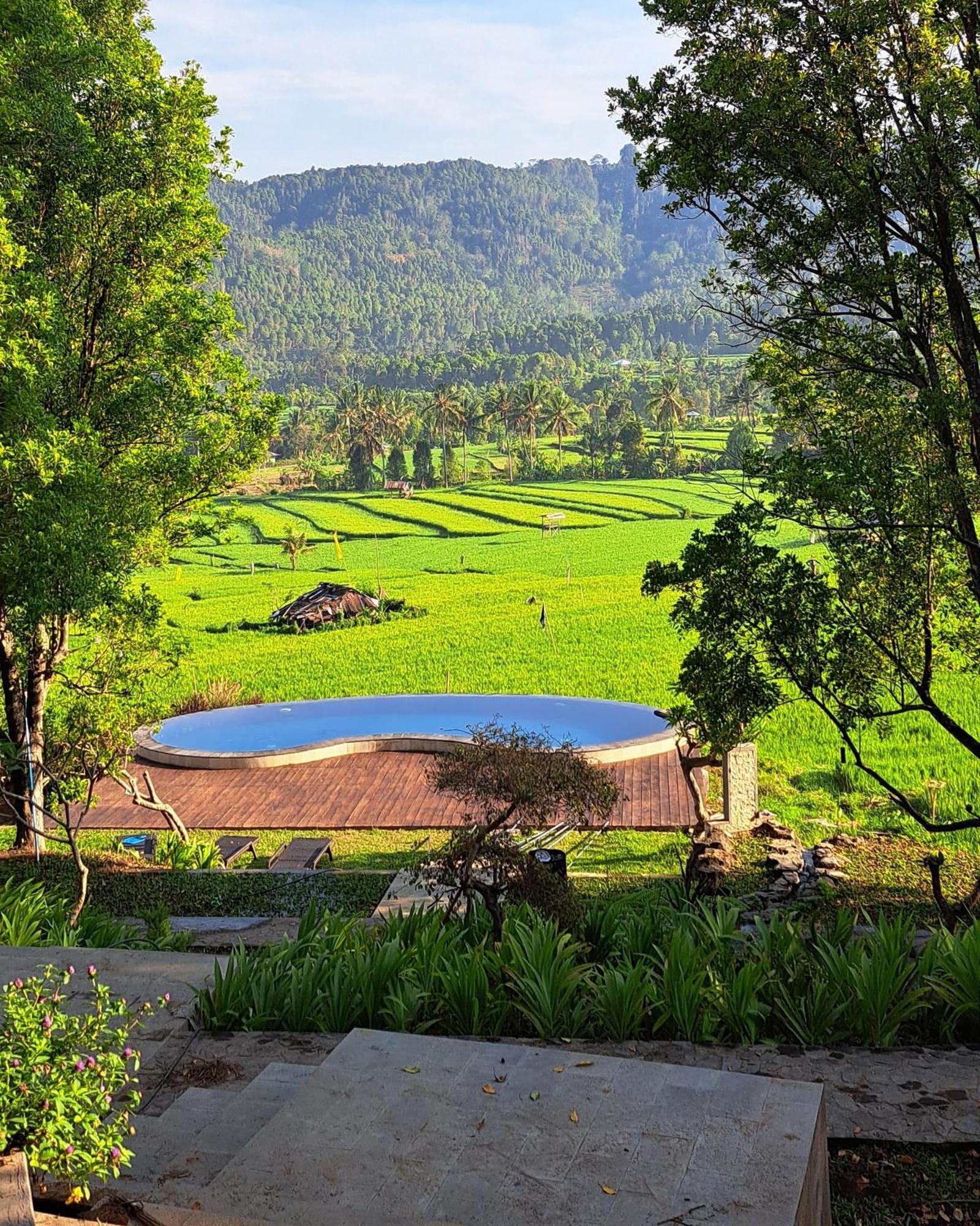 Mayura Bali Villa Munduk Eksteriør bilde