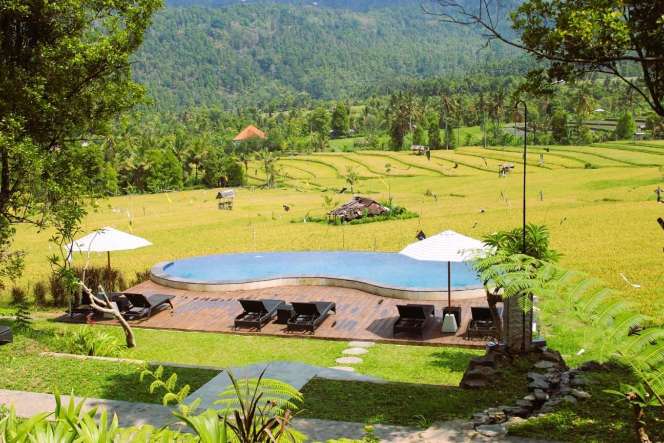 Mayura Bali Villa Munduk Eksteriør bilde
