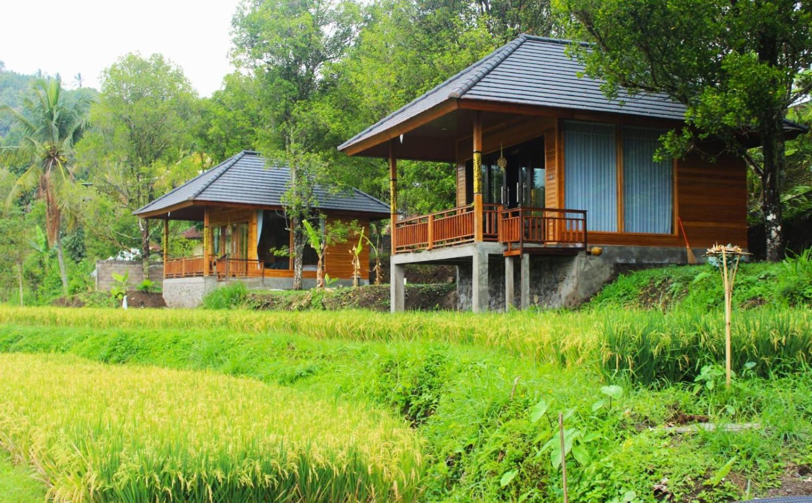 Mayura Bali Villa Munduk Eksteriør bilde
