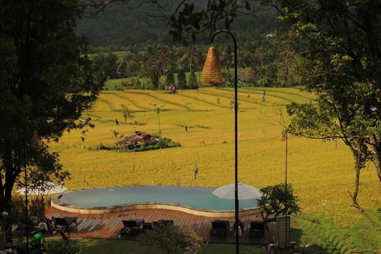 Mayura Bali Villa Munduk Eksteriør bilde